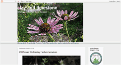 Desktop Screenshot of clayandlimestone.com